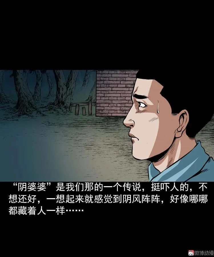 阴婆婆7