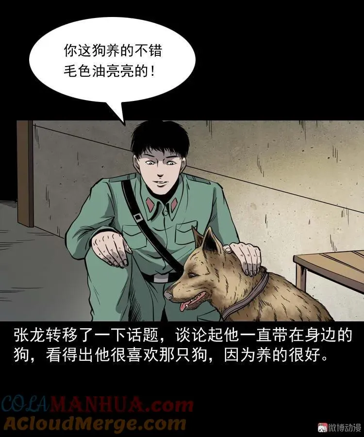 消失的妻子24