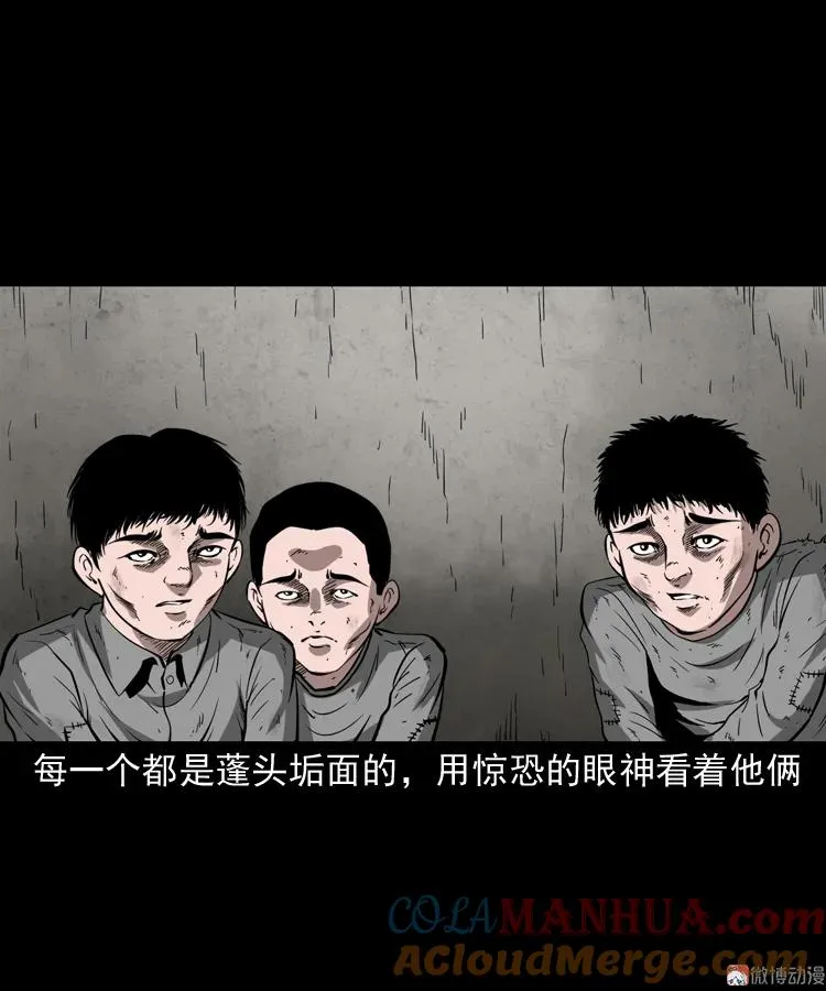 寻子狼80