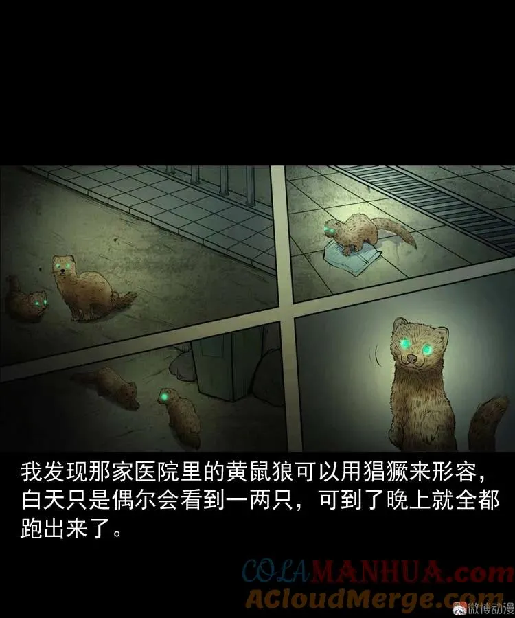 黄皮子医院15