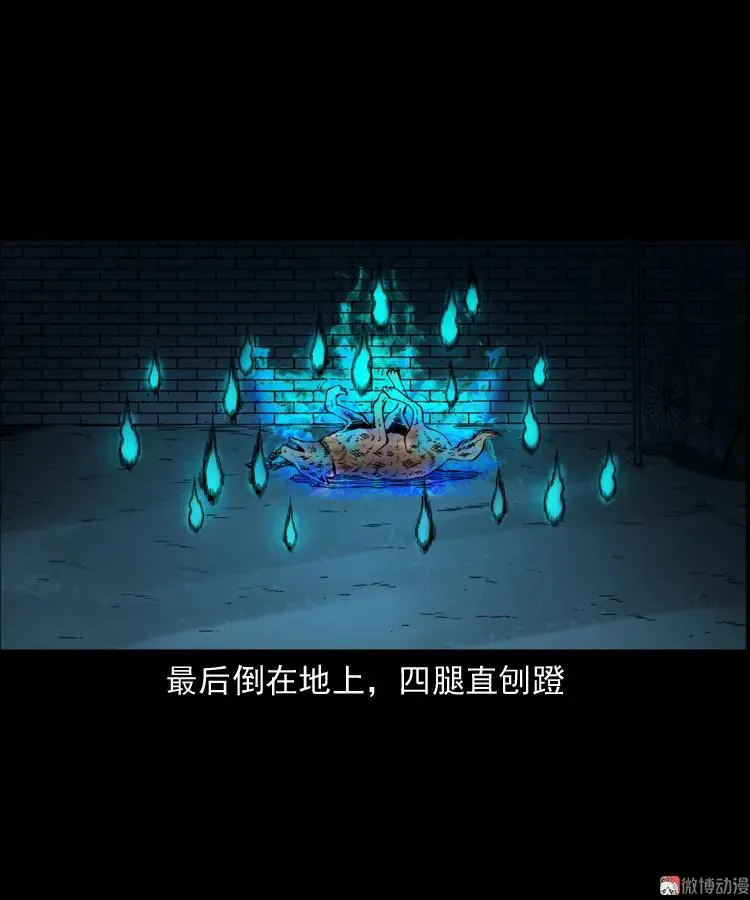 鬼火79