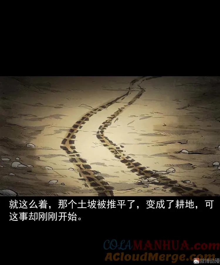 五棺莲花阵33