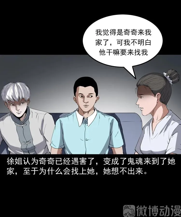 白头翁之猫灵42