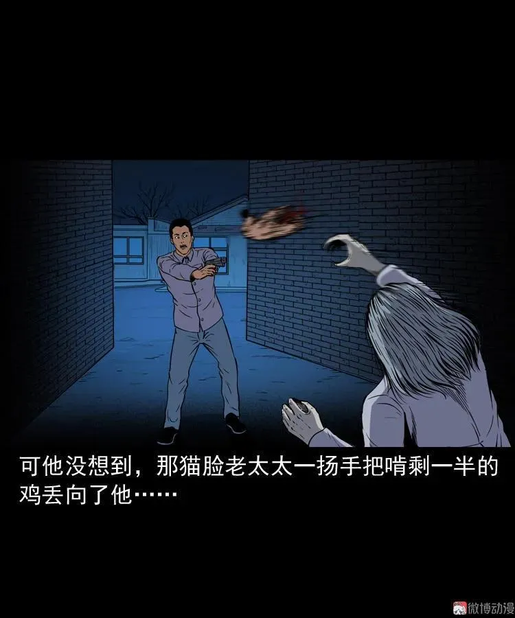 猫老太事件89