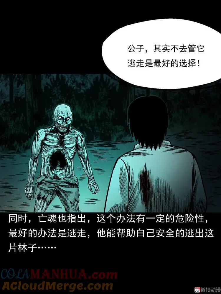 陆酒仙的来历（下）27