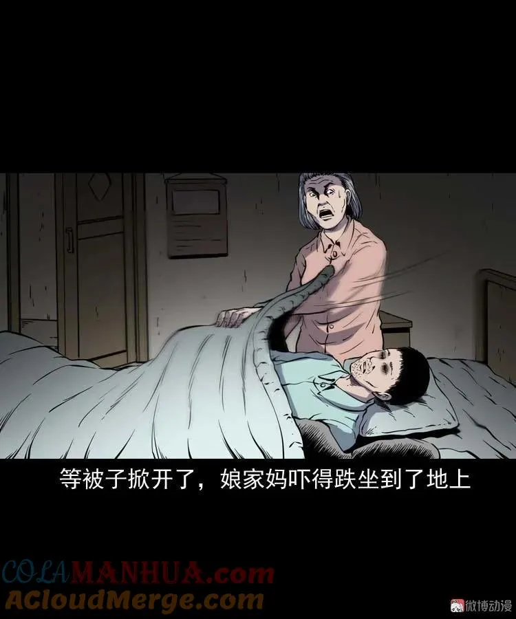 回来的妻子72