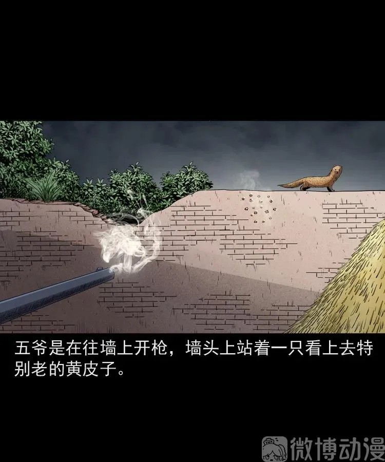 仙家异闻68