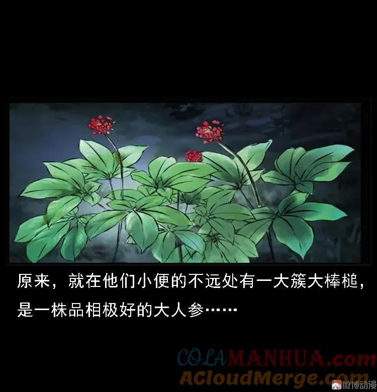 深山诡事63