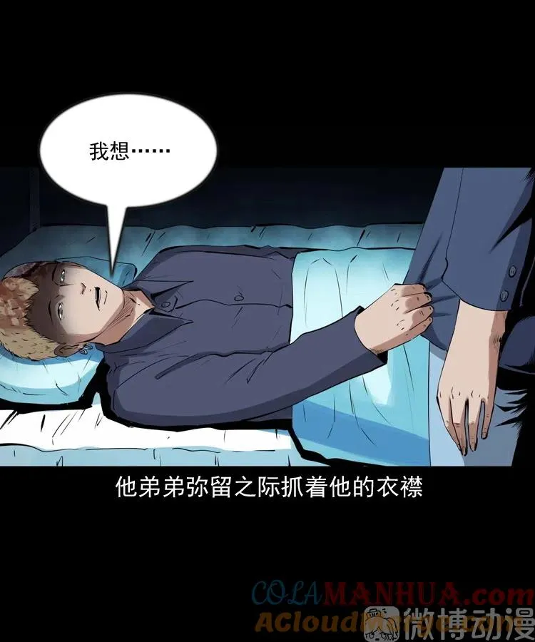 回来的逆子27