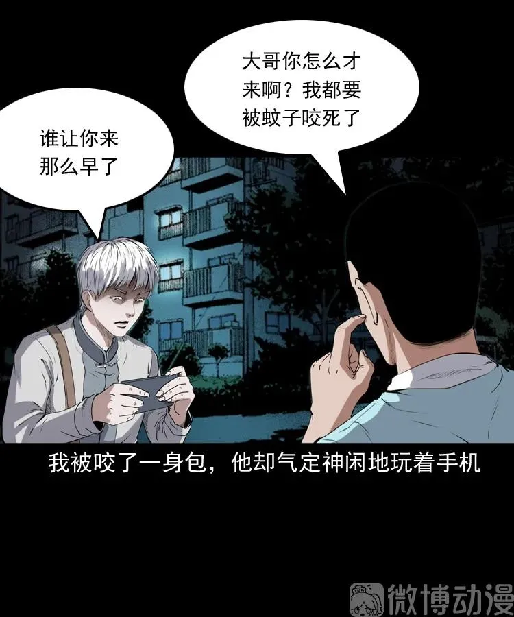 白头翁之猫灵62