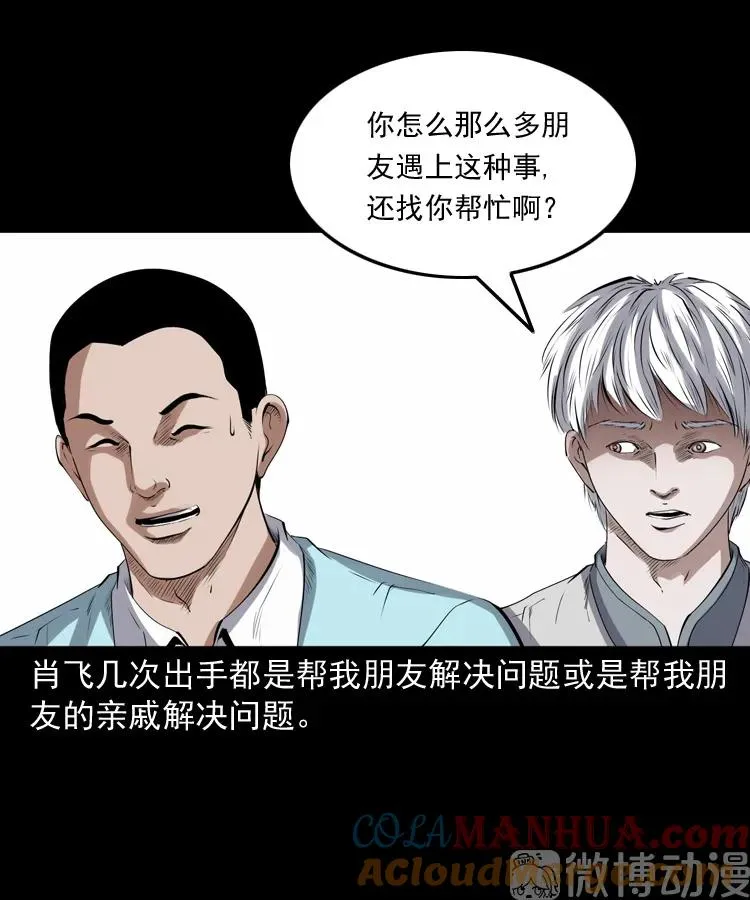 白头翁之猫灵4