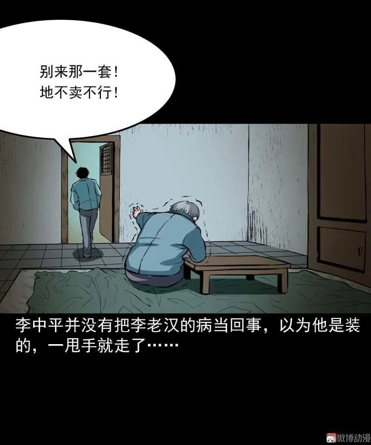 狗41