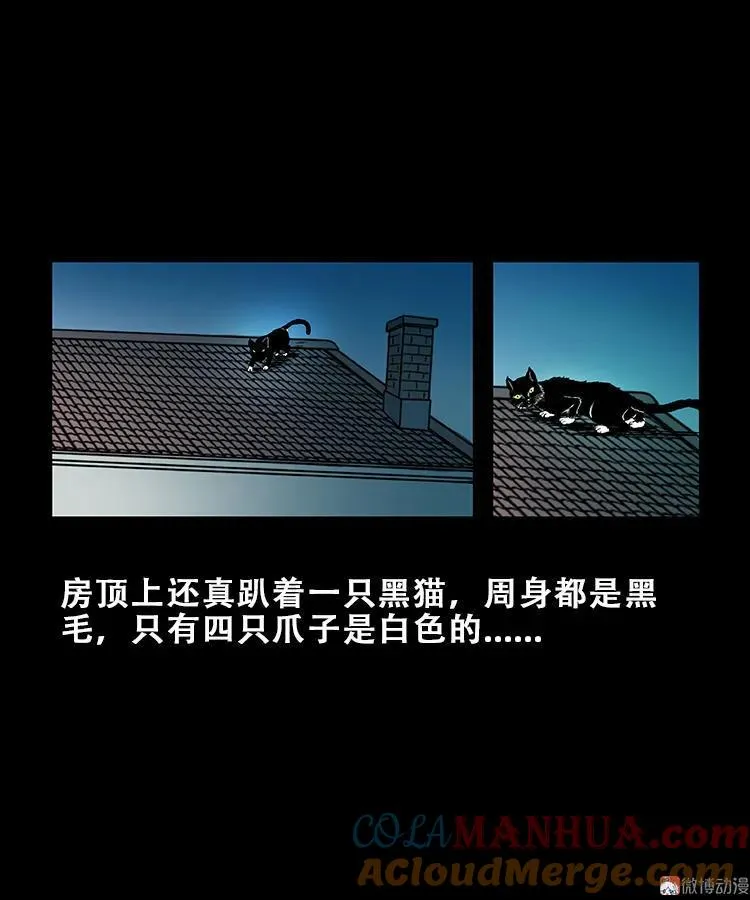 黑猫6