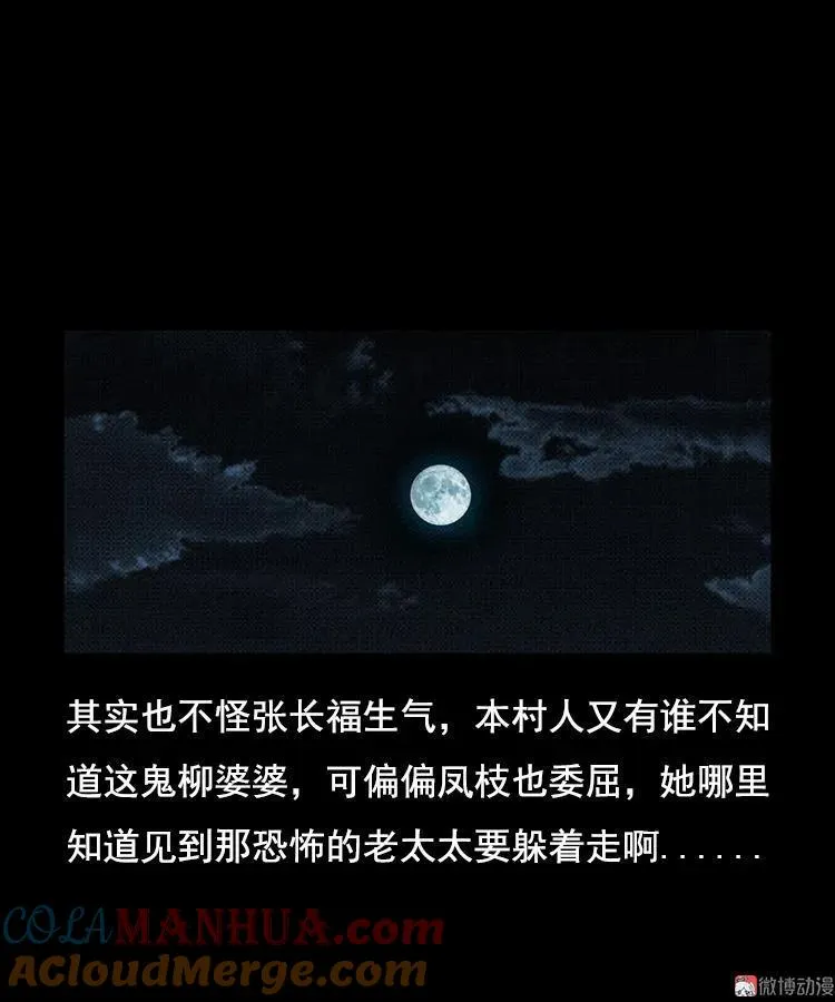 花柳树39