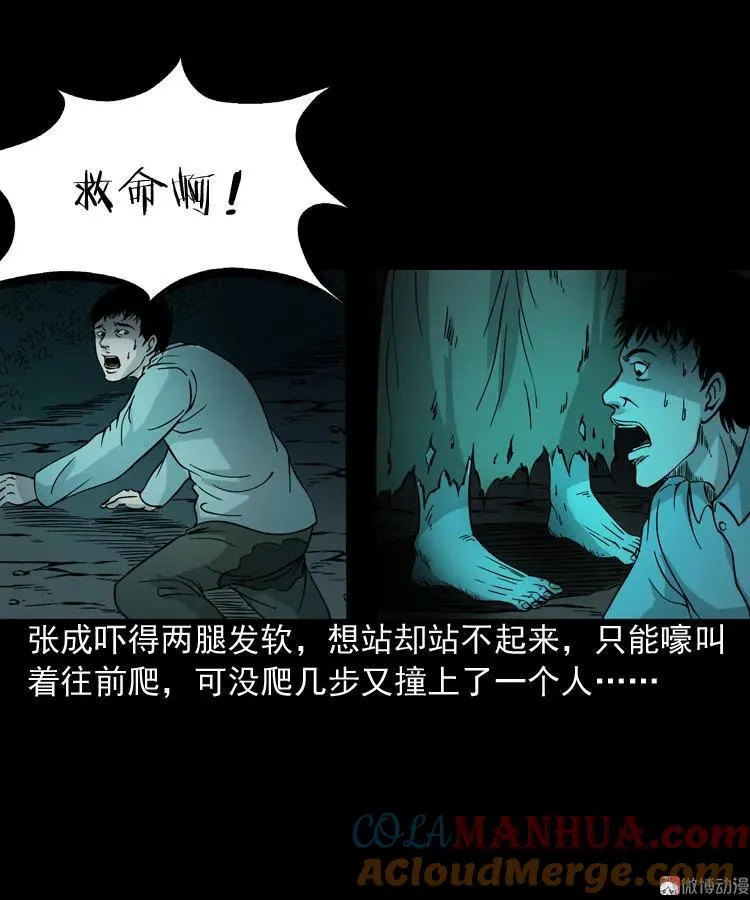 绿色尸体24