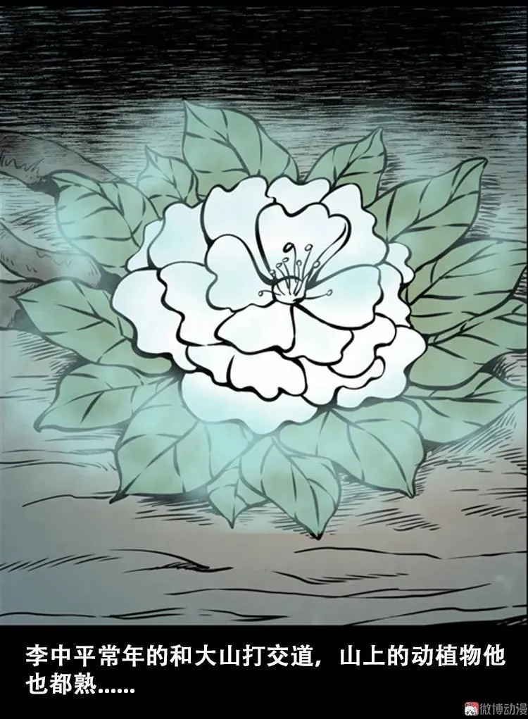 北瓜（上）10