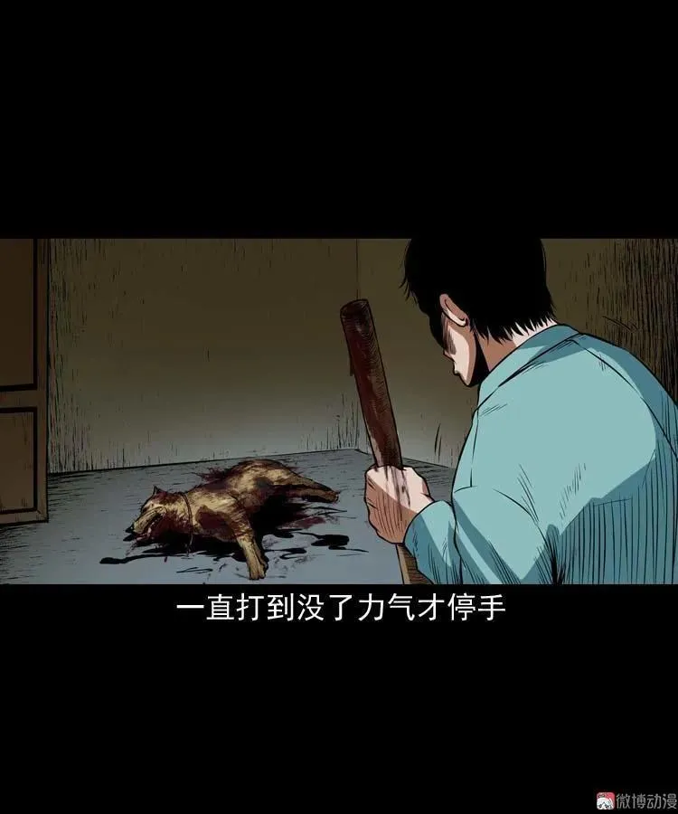 狗49
