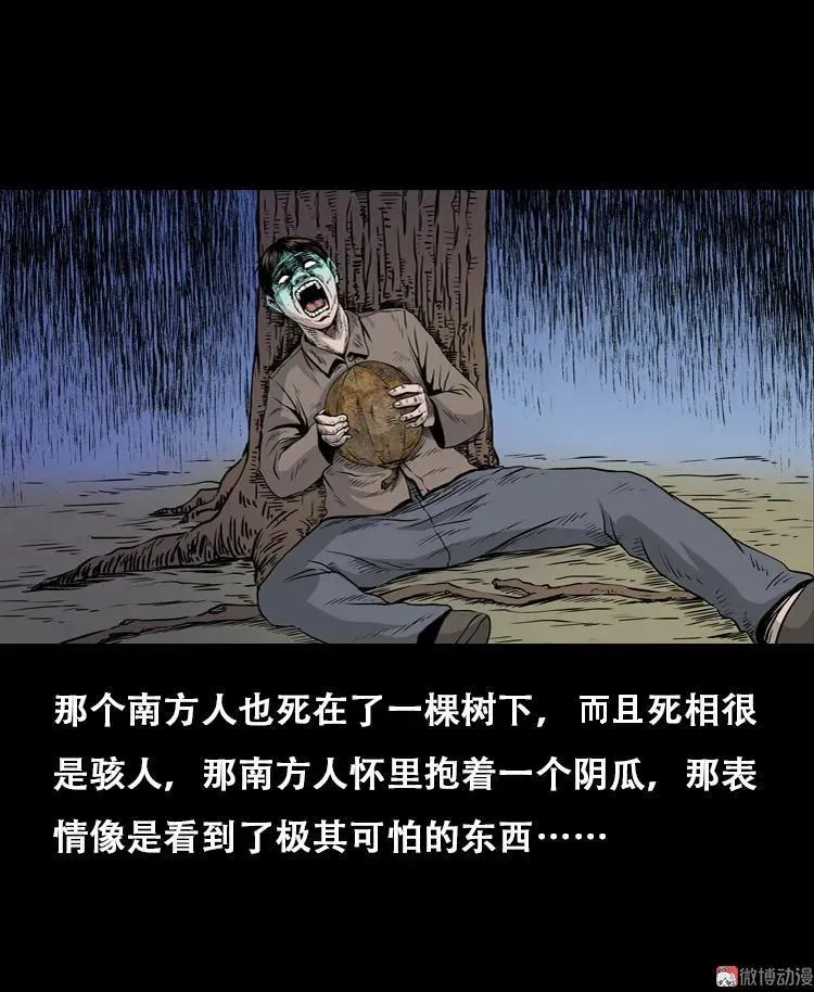北瓜（下）70