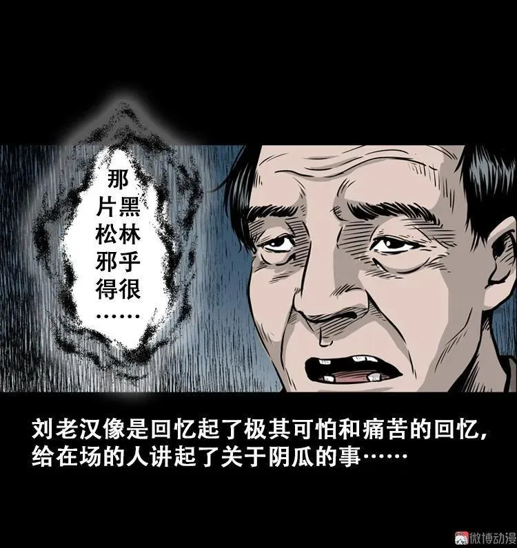 北瓜（上）43