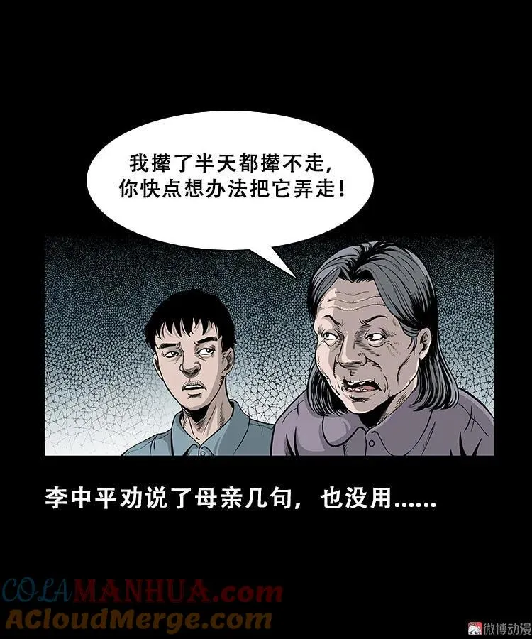 黑猫8