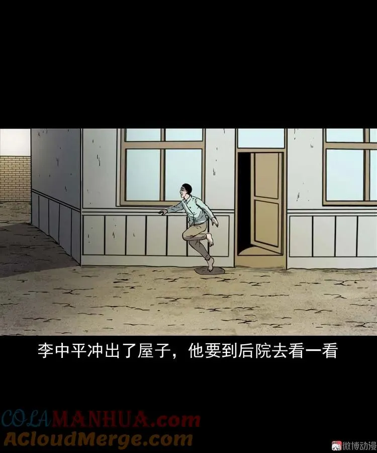 回来的妻子48