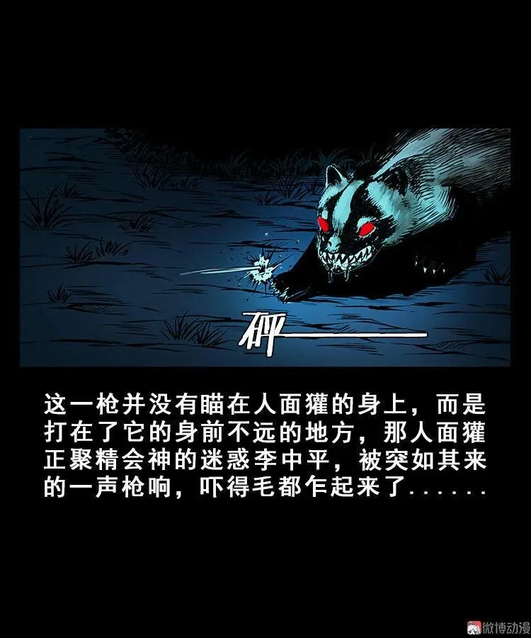 人面獾38