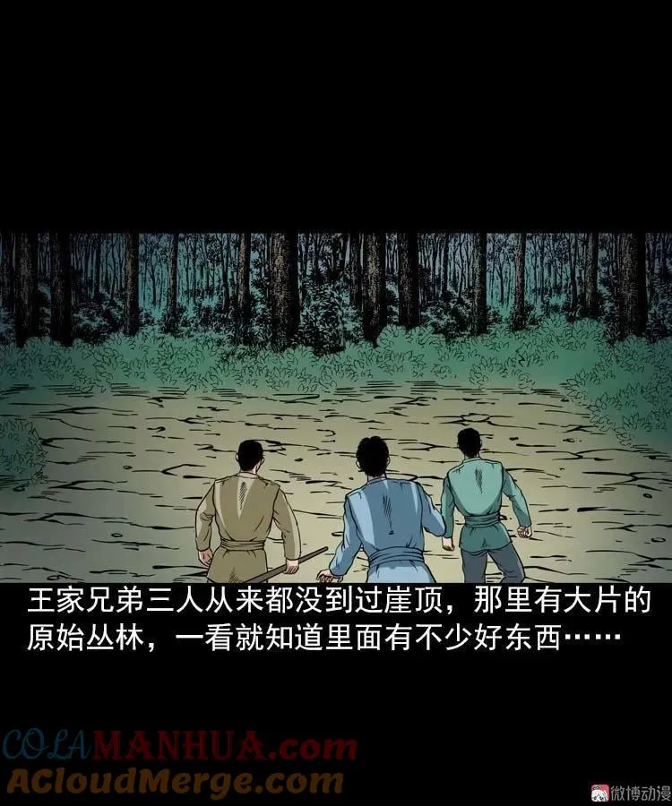 妖龙21