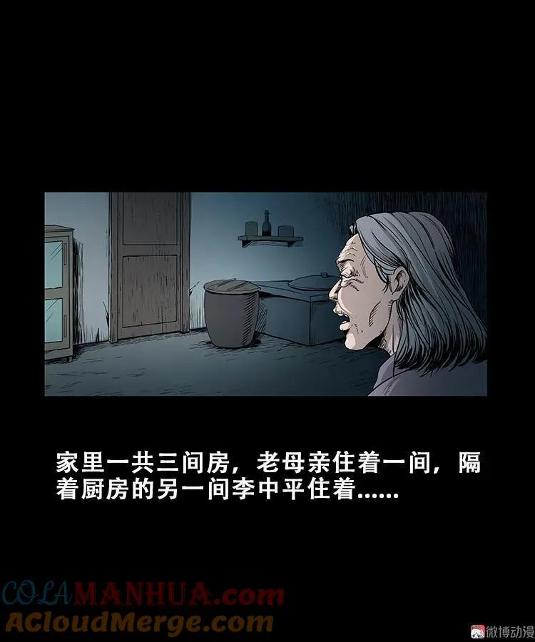 黑猫20