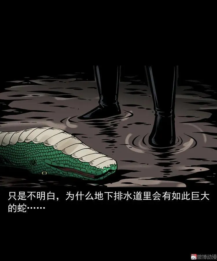 失踪案77