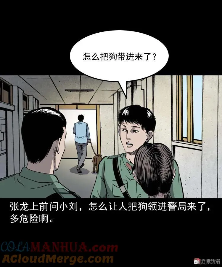 消失的妻子8