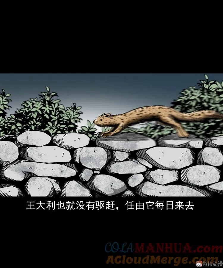 首富王大利21