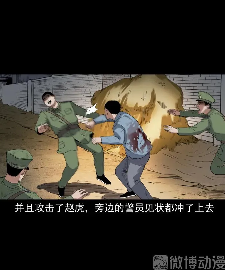 双鱼玉佩事件（上）23
