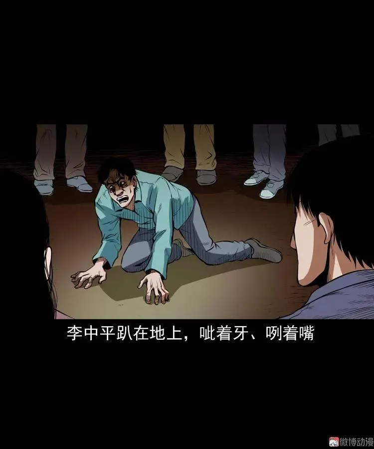 狗53