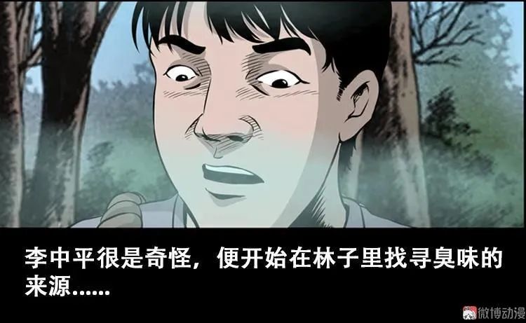 北瓜（上）8