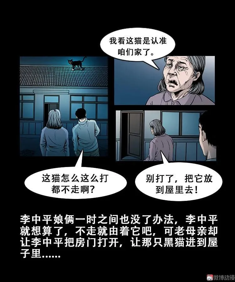 黑猫11