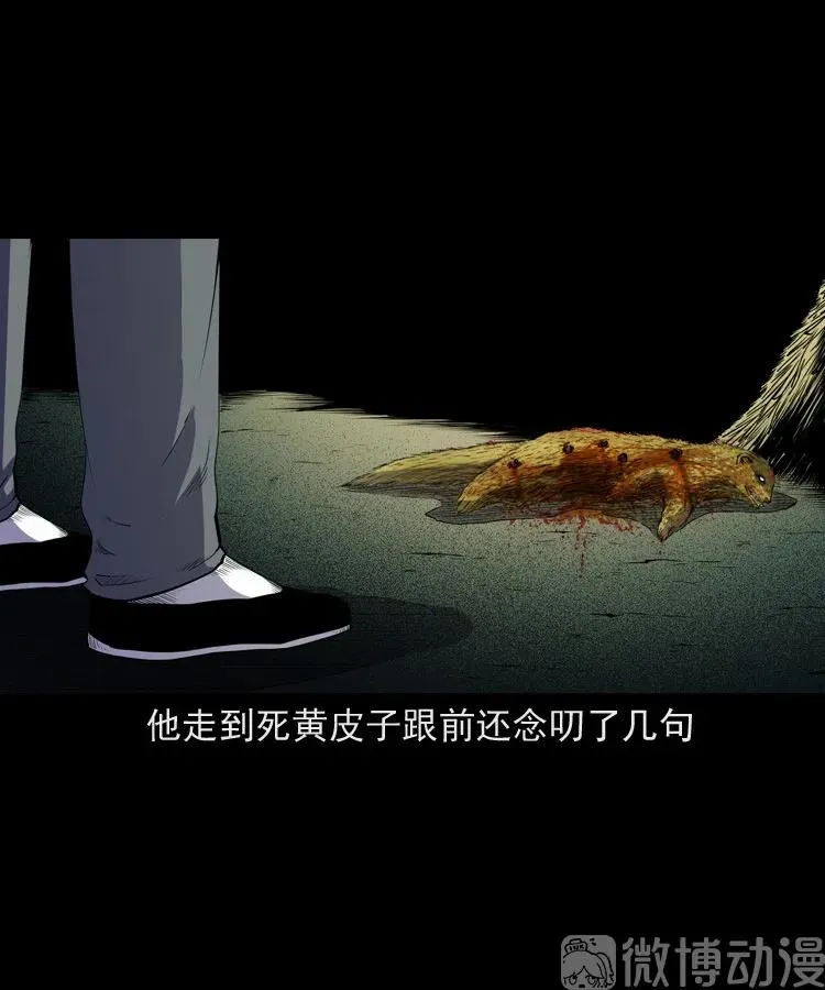 仙家异闻79