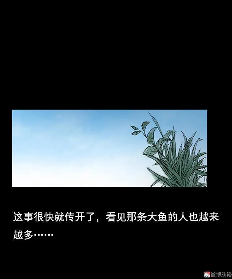 大鱼14
