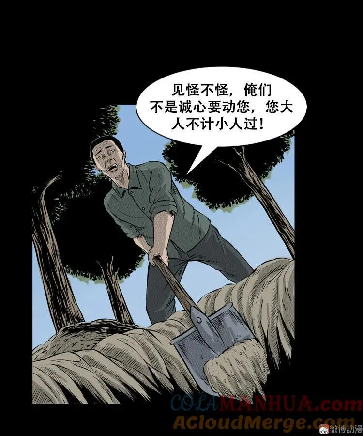石姑坟（上）24
