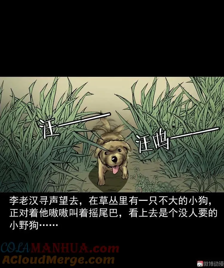 狗18