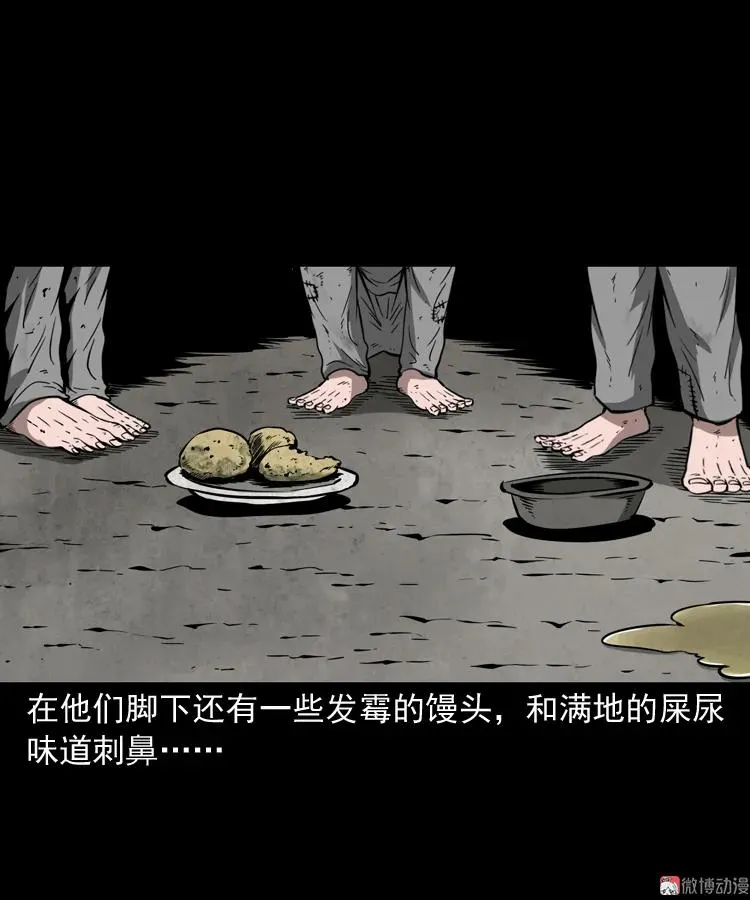 寻子狼81