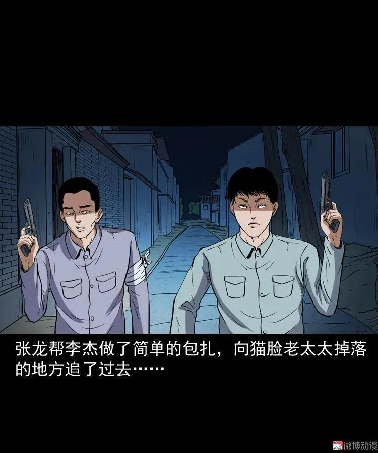 猫老太事件95