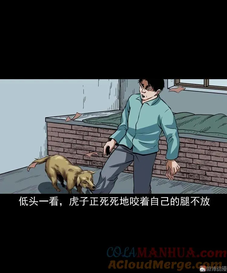 狗45