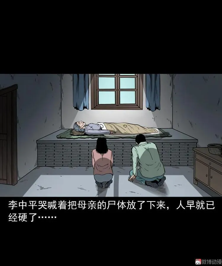 猫老太事件29