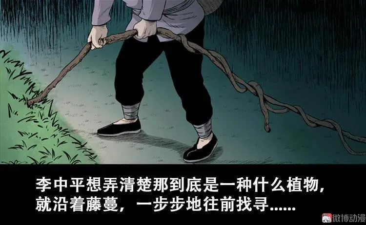 北瓜（上）16