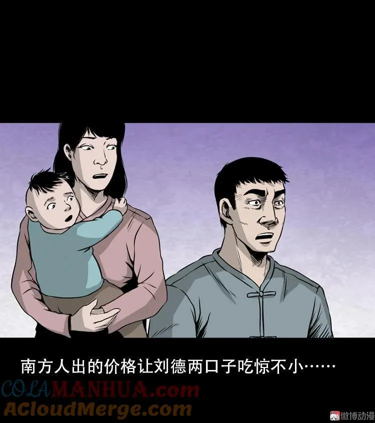 北瓜（下）39