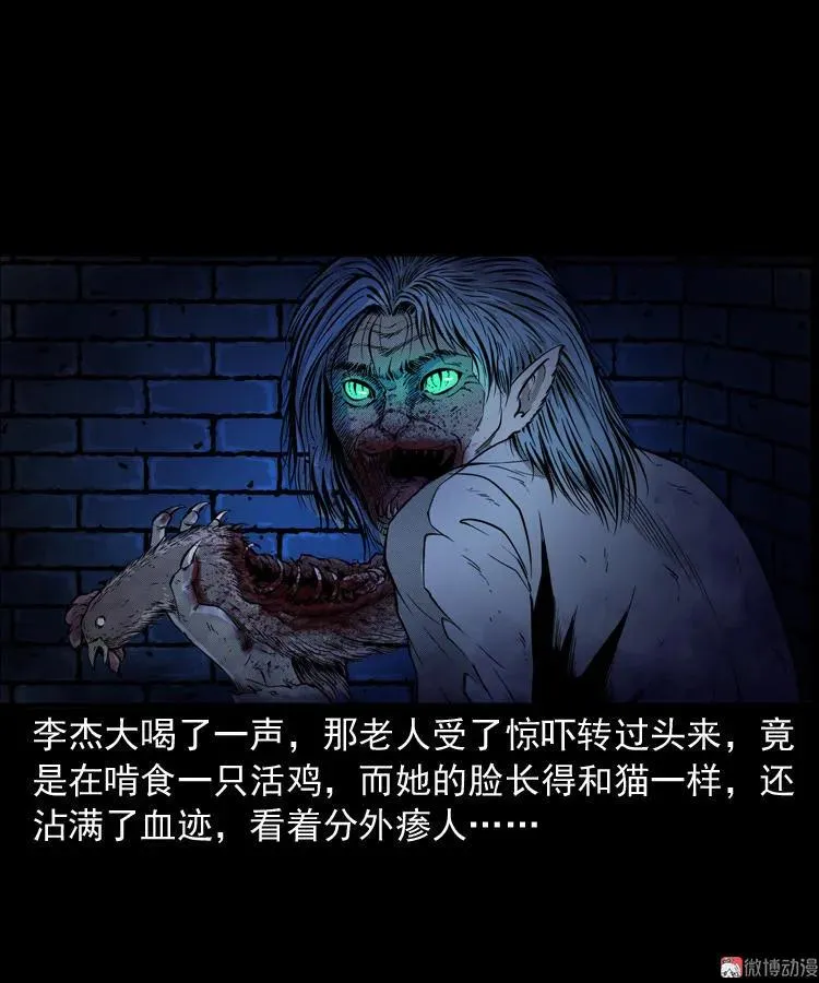 猫老太事件87