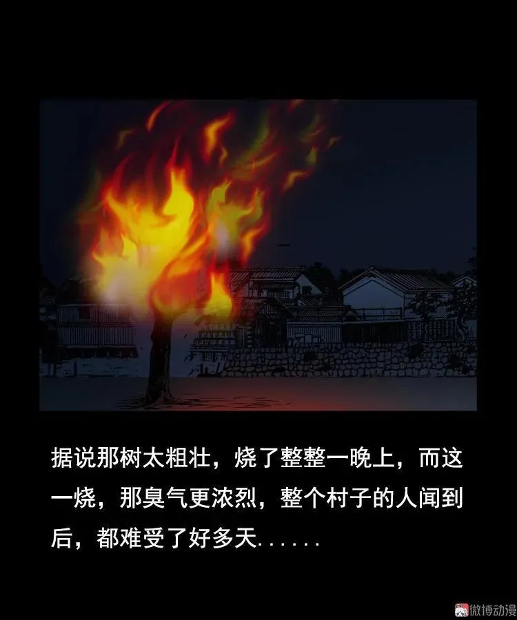 花柳树64