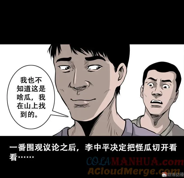 北瓜（上）33