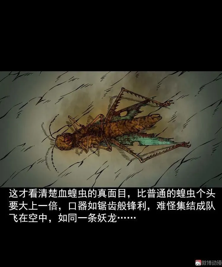 妖龙71