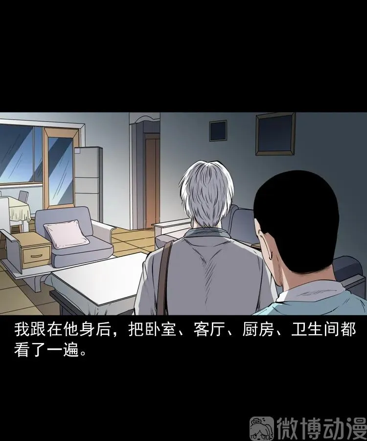 白头翁之猫灵47
